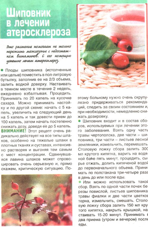 Шиповник плоды 100 гр. в Хабаровске