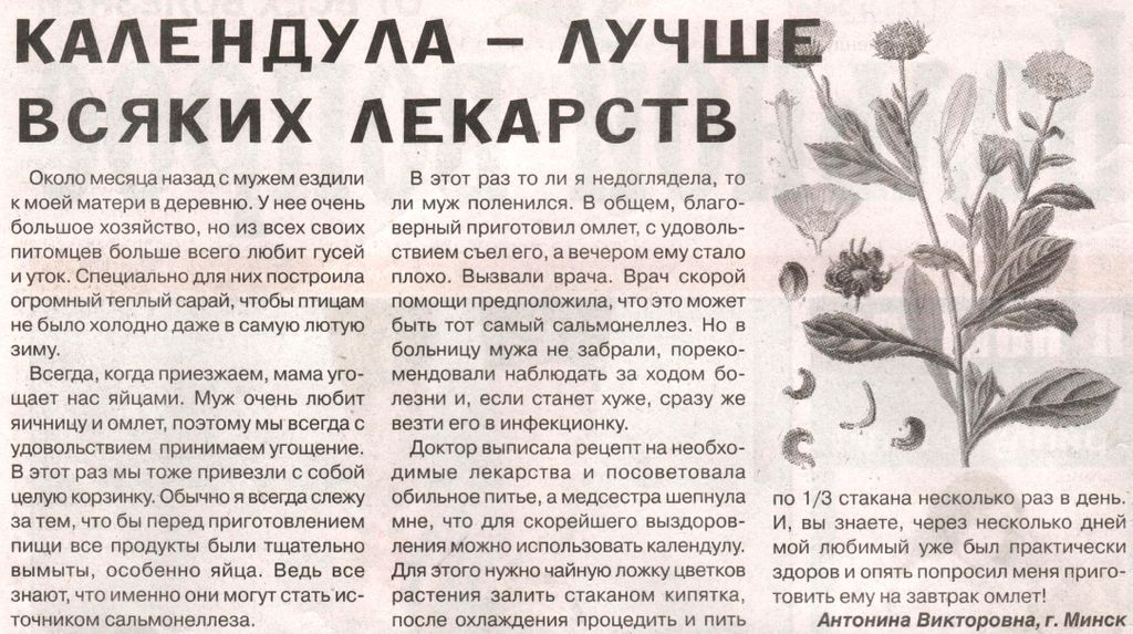 Календула цветы 100 гр. в Хабаровске