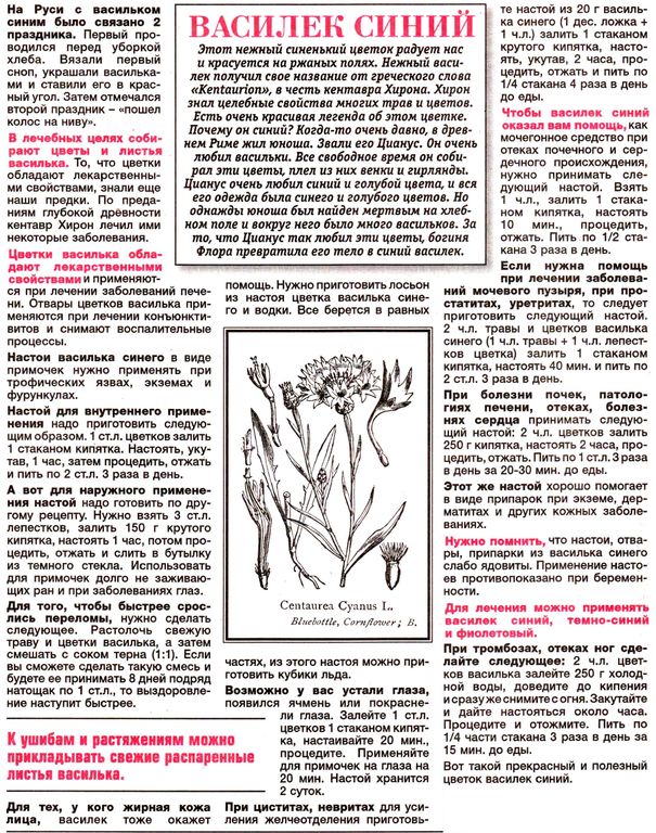 Василек цветки 100 гр. в Хабаровске