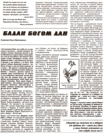 Бадан лист 100 гр. в Хабаровске