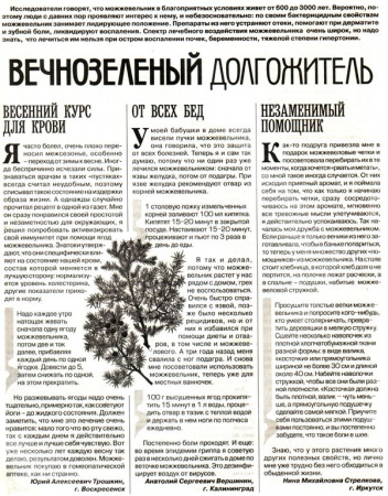 Можжевельник плод 100 гр. в Хабаровске