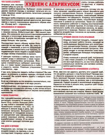 Агарик гриб 100 гр. в Хабаровске