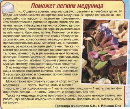 Медуница трава 100 гр. в Хабаровске