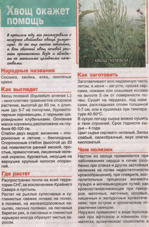 Хвощ трава 200 гр. в Хабаровске