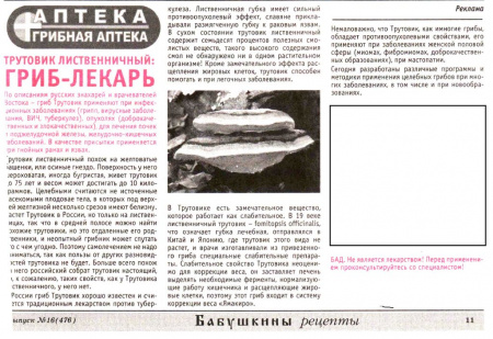 Трутовик лиственичный  (рубленный кусочками) 100г в Хабаровске