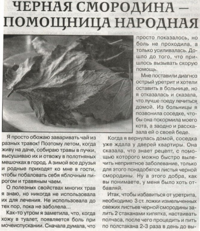 Смородина лист 200 гр. в Хабаровске