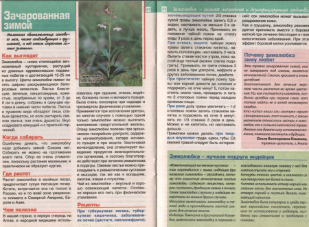 Зимолюбка трава 200 гр. в Хабаровске